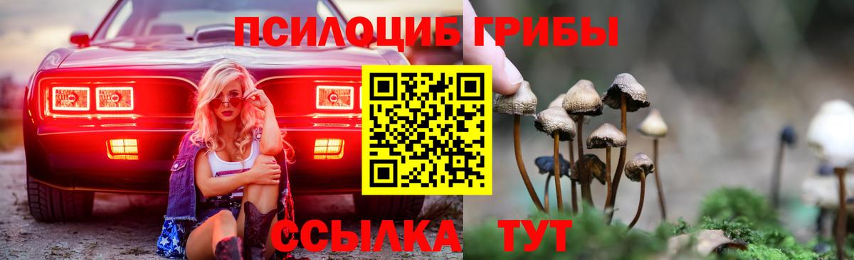 Галлюциногенные грибы прущие грибы Когалым